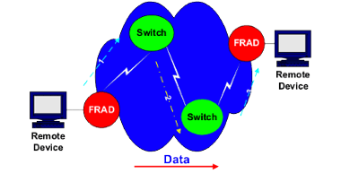  Frame Relay Primer, Figure 3. 
